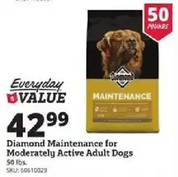Rural King Diamond Maintenance for Moderately Active Adult Dogs offer
