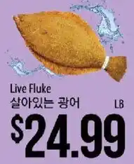 Hmart Live Fluke offer