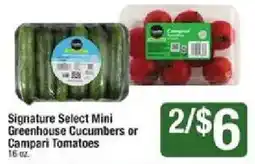 Shaw's Signature Select Mini Greenhouse Cucumbers or Campari Tomatoes offer