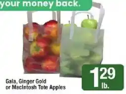 Shaw's Gala, Ginger Gold or Macintosh Tote Apples offer