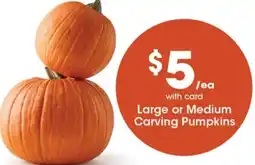 Gerbes Large or Medium Carving Pumpkins offer