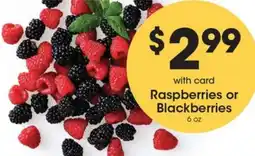 Gerbes Raspberries or Blackberries offer