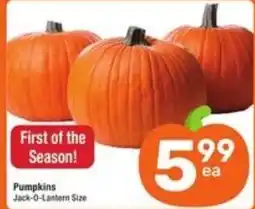 Randalls Pumpkins Jack-O-Lantern Size offer