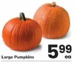 Safeway Large Pumpkins offer