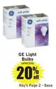 Ray's Food Ge light bulbs offer