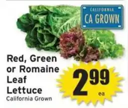 Ray's Food Red, Green or Romaine Leaf Lettuce offer