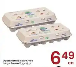 Albertsons Open Nature Cage Free Large Brown Eggs offer