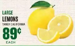 Lowes Foods Large Lemons offer