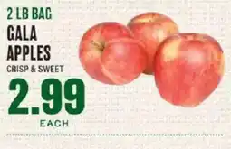 Lowes Foods Gala Apples offer