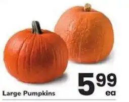 Safeway Large Pumpkins offer
