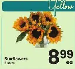 Safeway Sunflowers offer