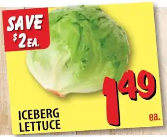 Iceberg Lettuce