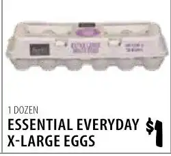 Karns Essential Everyday X-Large Eggs offer