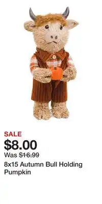 TJ Maxx 8x15 Autumn Bull Holding Pumpkin offer