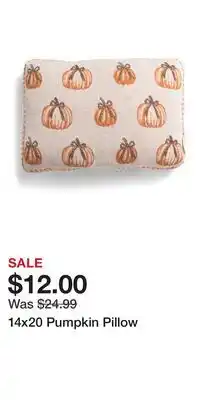 TJ Maxx 14x20 Pumpkin Pillow offer