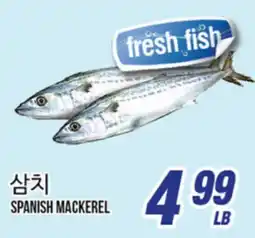 Joong Boo Market SPANISH MACKEREL offer