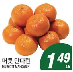 Joong Boo Market MURCOTT MANDARIN offer