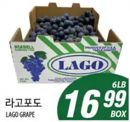 Joong Boo Market LAGO GRAPE offer
