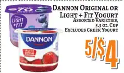 Trade Fair Supermarket DANNON ORIGINAL OR LIGHT + FIT YOGURT offer