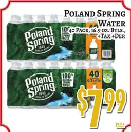 Trade Fair Supermarket POLAND SPRING WATER offer