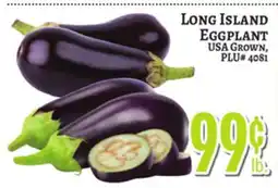 Trade Fair Supermarket LONG ISLAND EGGPLANT offer