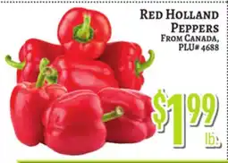 Trade Fair Supermarket RED HOLLAND PEPPERS offer