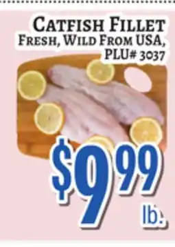 Trade Fair Supermarket CATFISH FILLET offer