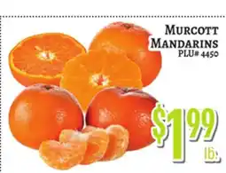 Trade Fair Supermarket MURCOTT MANDARINS offer