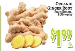 Trade Fair Supermarket ORGANIC Ginger Root offer