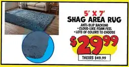 Ollie's SHAG AREA RUG offer