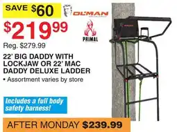 Dunham's Sports 22' BIG DADDY WITH LOCKJAW OR 22' MAC DADDY DELUXE LADDER offer