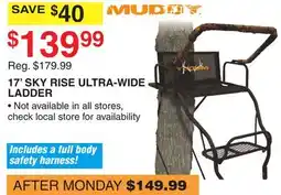Dunham's Sports 17' SKY RISE ULTRA-WIDE LADDER offer