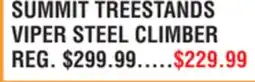 Dunham's Sports SUMMIT TREESTANDS VIPER STEEL CLIMBER offer