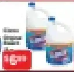 O'briens Market Clorox bleach offer