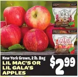 Gristedes Lil Mac's or Lil Gala's Apples offer