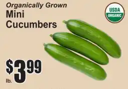 SuperFresh Organically Grown Mini Cucumbers offer