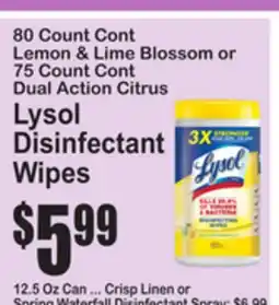 SuperFresh Lysol Disinfectant Wipes offer