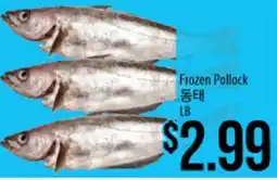 Hmart Frozen Pollock offer