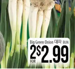 Hmart Big Green Onion offer