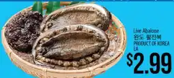 Hmart Live Abalone offer