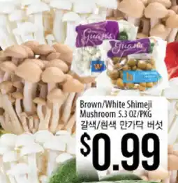Hmart Brown/White Shimeji Mushroom offer