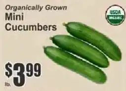 Key Food Organically Grown Mini Cucumbers offer
