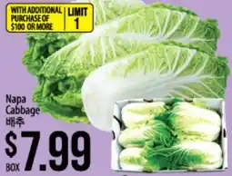 Hmart Napa Cabbage offer