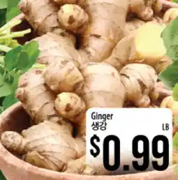Hmart Ginger offer