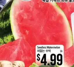 Hmart Seedless Watermelon offer