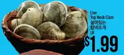 Hmart Live Top Neck Clam offer