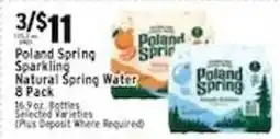 Met Foodmarkets Poland Spring sparkling natural spring water offer