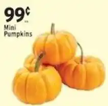Met Foodmarkets Mini Pumpkins offer