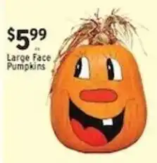 Met Foodmarkets Large Face Pumpkins offer