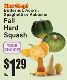 Super Fresh New Crop! Butternut, Acorn, Spaghetti or Kabocha Fall Hard Squash offer
